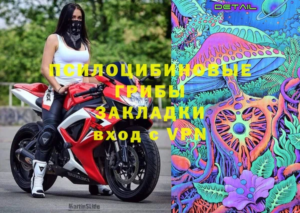винт Арсеньев
