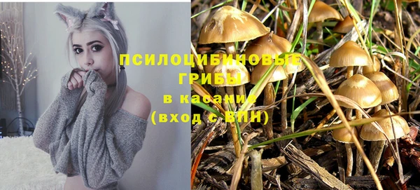 винт Арсеньев