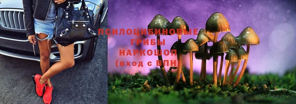 винт Арсеньев